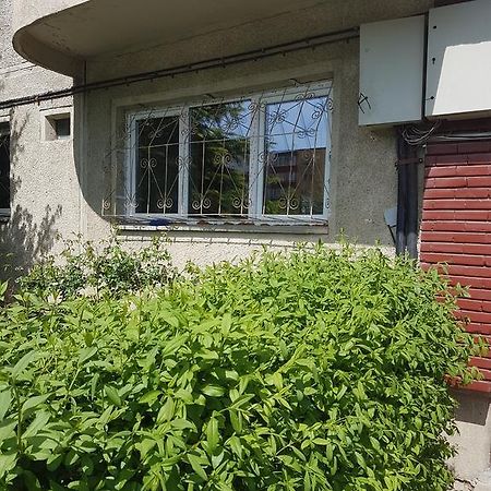 Apartamente Marian Braşov Kamer foto
